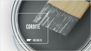 Cordite paint by Behr, charcoal